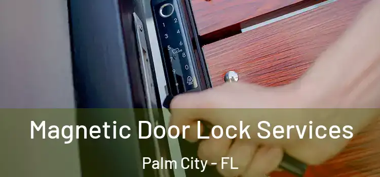 Magnetic Door Lock Services Palm City - FL