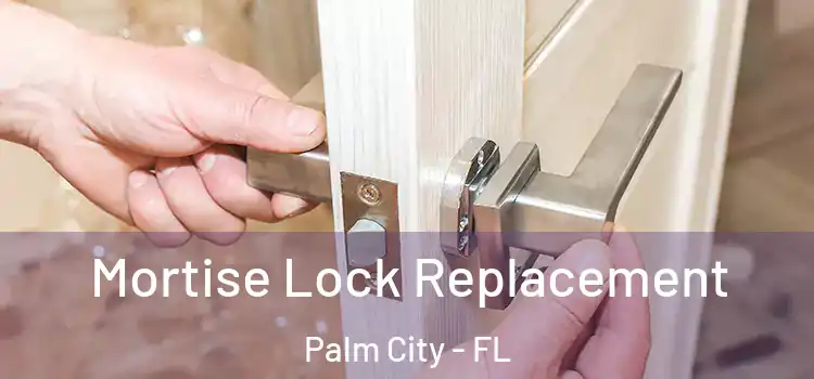 Mortise Lock Replacement Palm City - FL